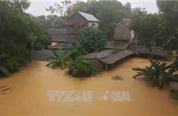 Cứu trợ khẩn cấp 1,1 tỷ đồng cho các tỉnh bị ảnh hưởng nặng nề do bão số 12 